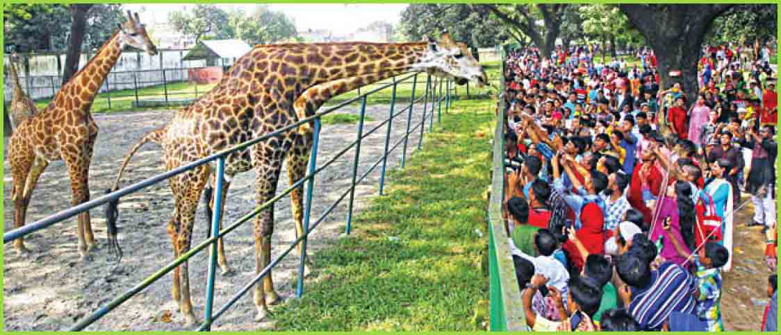 Visit Dhaka Zoo